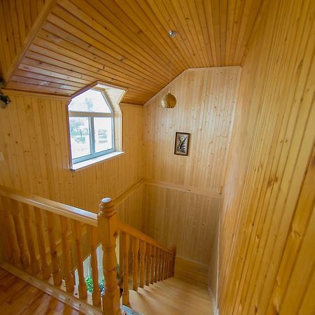Guest House Suzirya Karpat Jaremče Exteriér fotografie